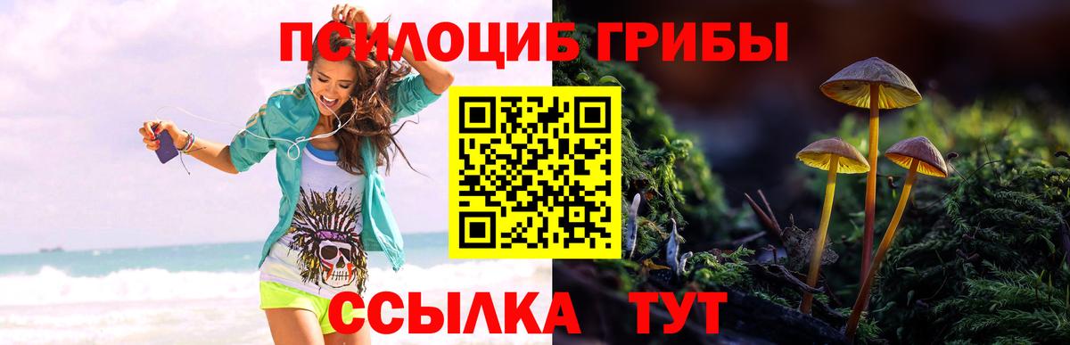 Псилоцибиновые грибы MAGIC MUSHROOMS  Вход с VPN  Кимры 